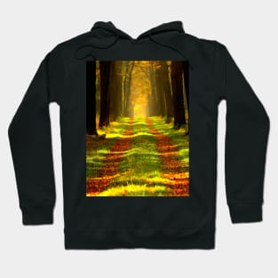 Beautiful Forest Trees of Nature Hoodie